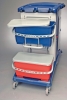 Complete professional flat mop trolley