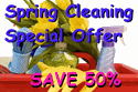 Spring Clean 3 DAY Special